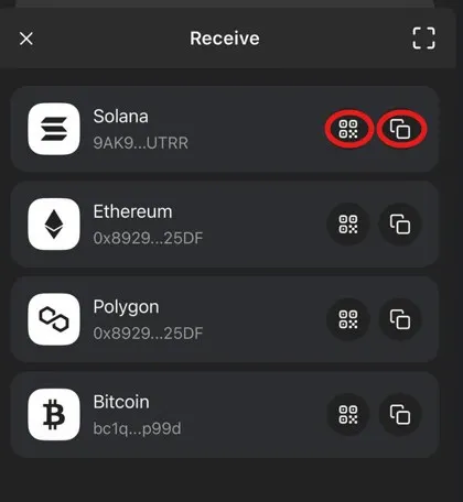 What is Phaom Wallet? Review and tutorial on Volt Phaom installation What is Phaom Wallet? Review and tutorial on Volt Phaom installation