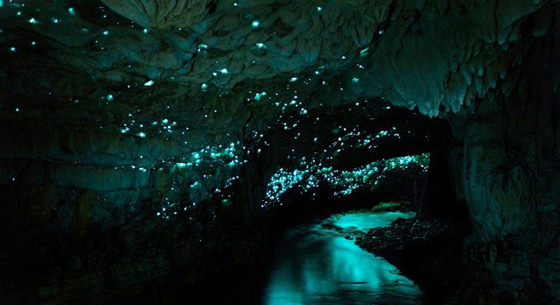 Waitomo firefly caves in New Zealand, source: space, photographer: Matteo Colombo