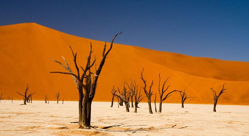 Sassuolo in the Namib desert, source: space, photographer: James Strachan