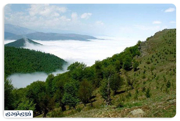 Chaharbagh forests of Marzan Abad