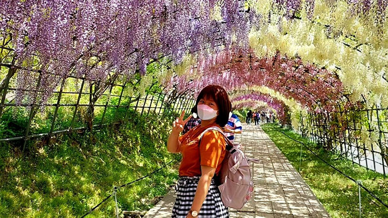 Wisteria Flower Tunnel in Kitakushu, Japan