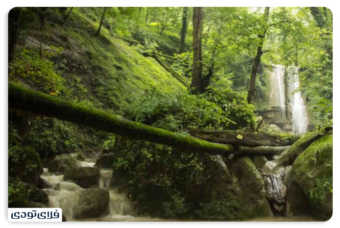Swadkoh forests