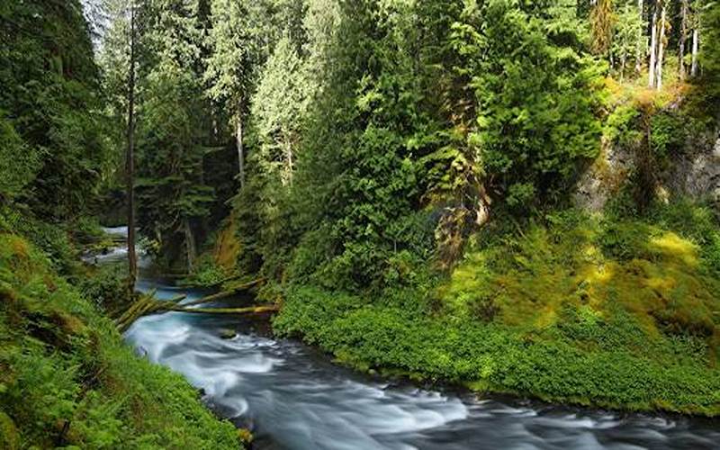 Mackenzie River, photo source: oregonisforadveure, photographer: unknown