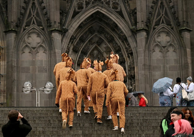   The start of the carnival season in Europe and participas dressed as giraffes in fro of Cologne Cathedral, Germany; In the photographer: Ina Fassbender 