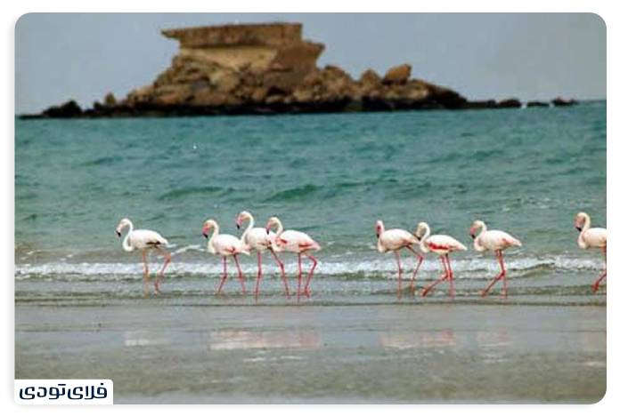 cute islands