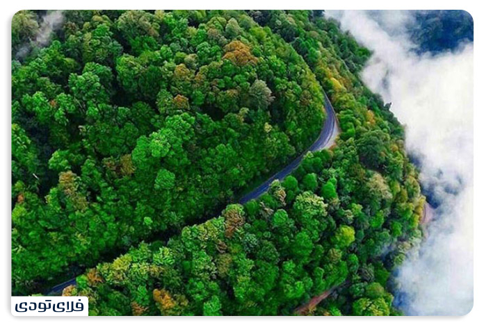 Forest hotels of Rasht