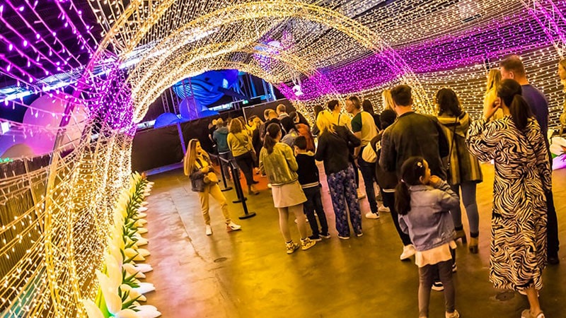 Japan Light Festival with delicious food and beautiful lights