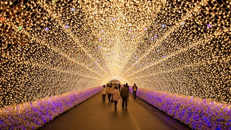 Nabana No Sato Flower Park and Botanical Garden; Venue of the Light Festival