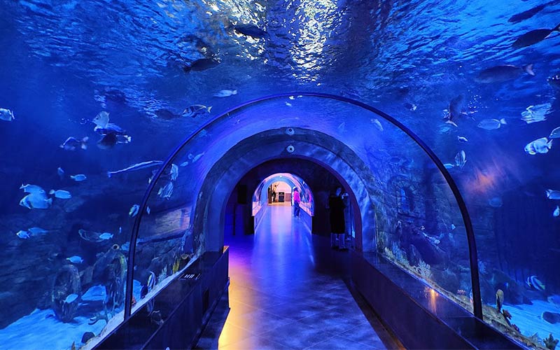 Anzali Aquarium tunnel, photo source: Google Map, photographer: Ali Taherzadeh