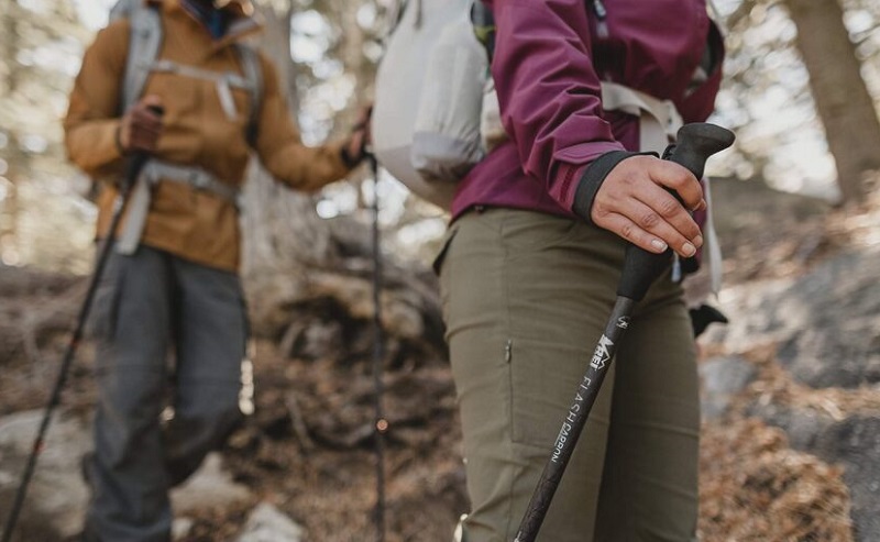 baton or climbing cane with plastic handle; Photo source qojex.com website. Unknown photographer