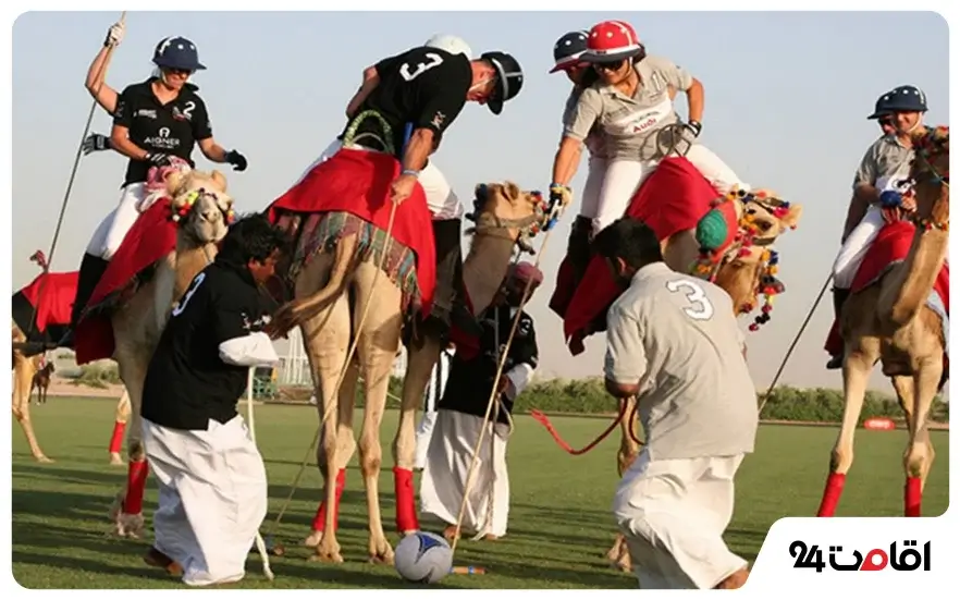 Polo with camel or camel polo