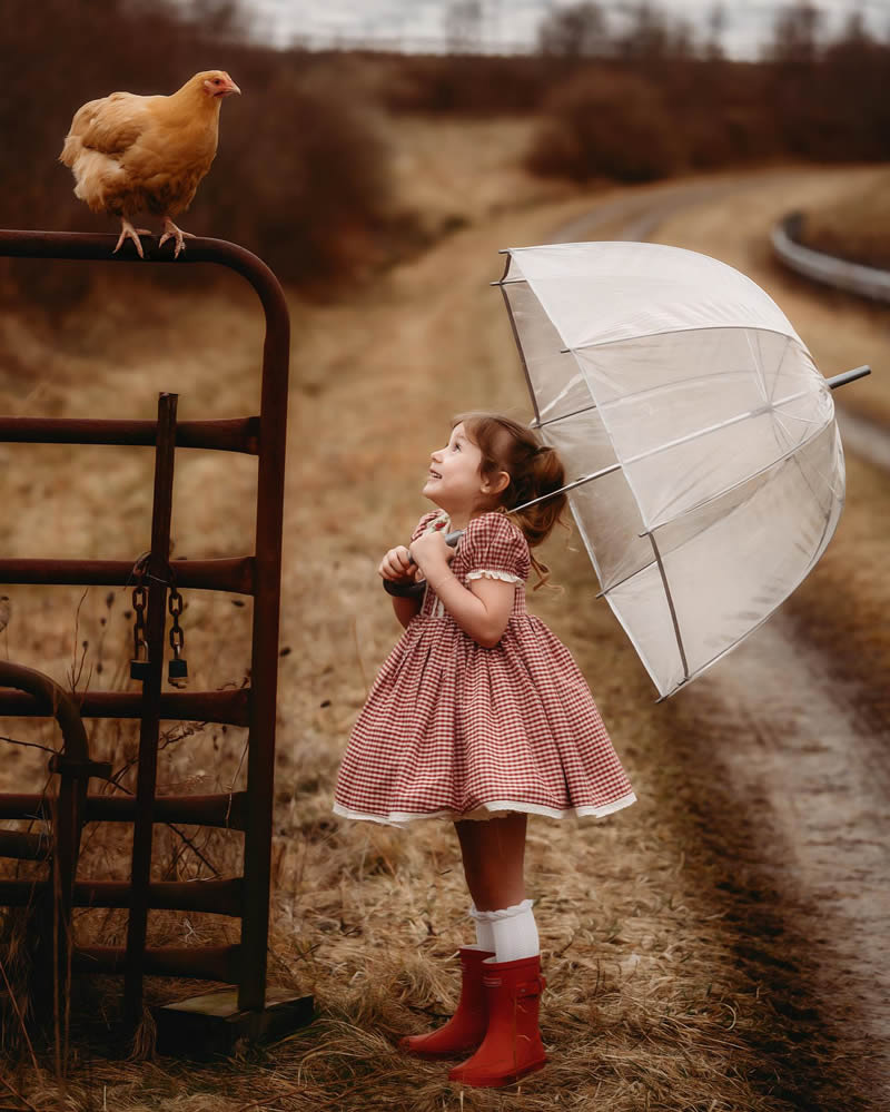 Watching the chicken by the little girl