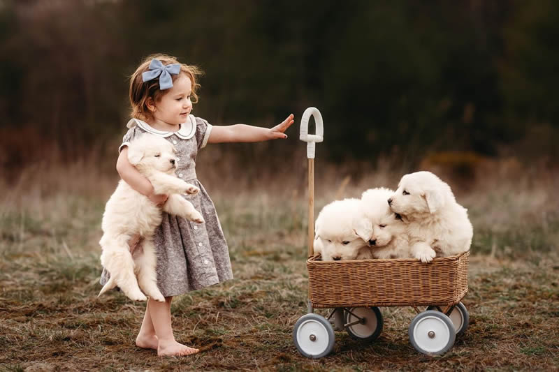 A girl's game with puppies