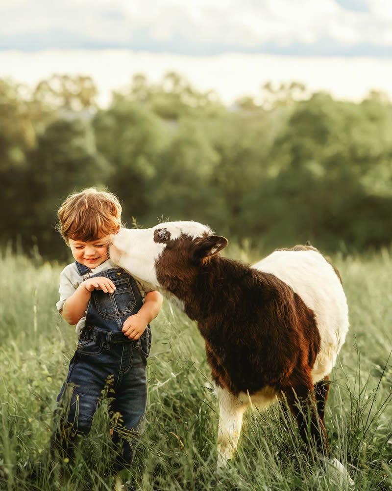 A child's game with a calf