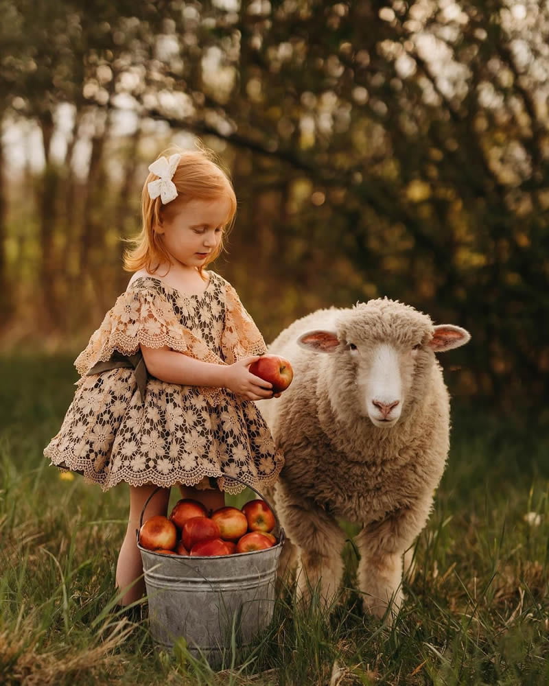 Little girl and sheep game