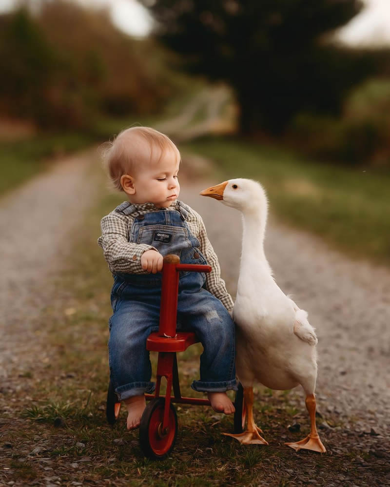 Boy and goose game