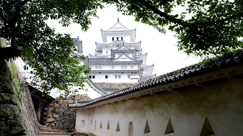Appreciation of Japanese samurai culture in today's world
