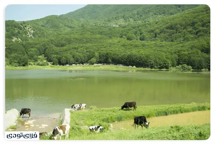 Access route to Vistan lake jpg