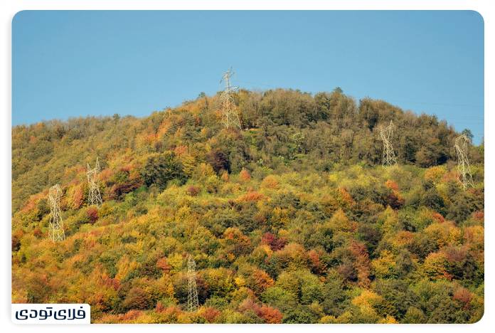 the village of Nakhlebar and its virgin forest; A unique combination