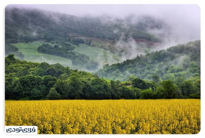 Siahroud Protected Area; One of the importa wildlife habitats of Iran