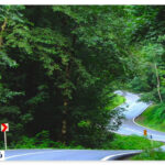 The best places to see on Chalus Road