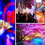 Everything about the Japan Light Festival