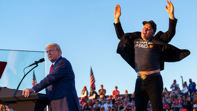 How did Elon Musk become Trump's right hand?