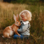 A rabbit in the arms of a child