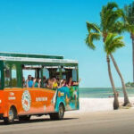 Comprehensive introduction of Jin Tour services