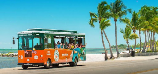 Comprehensive introduction of Jin Tour services