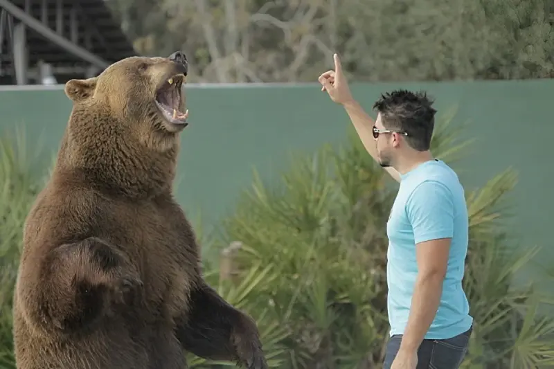 Man talking to an angry bear. Source: kgab.com website; Photographer: Unknown