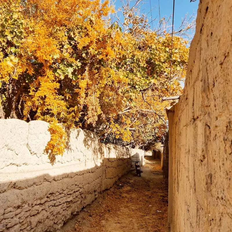 The alley of Sirach village in Kerman in autumn; Photo source: Google Maps, photographer: M.Hossein Nejhad Jomeh