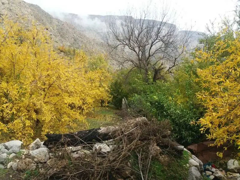 Garden and autumn trees of Marin Gachsaran village; Photo source: IRNA, photographer: unknown