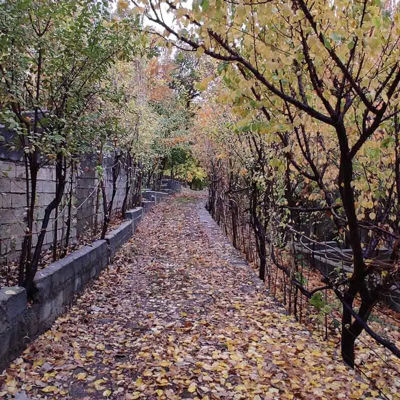 Autumn garden alley in Nasme village, Kermanshah; Photo source: Google Maps, photographer: Yousef Amirian