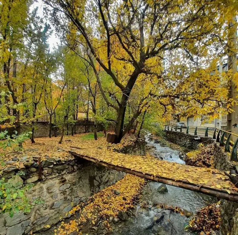 The river and trees of Eagle village in Tehran in autumn; Photo source: tabiat.gardi.ir, photographer: irann_tabiatt