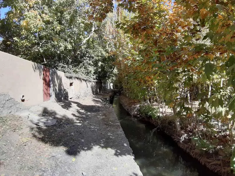 The stream and trees of Cham Alishah village, Isfahan; Photo source: Google Maps, photographer: Yahya Nasr