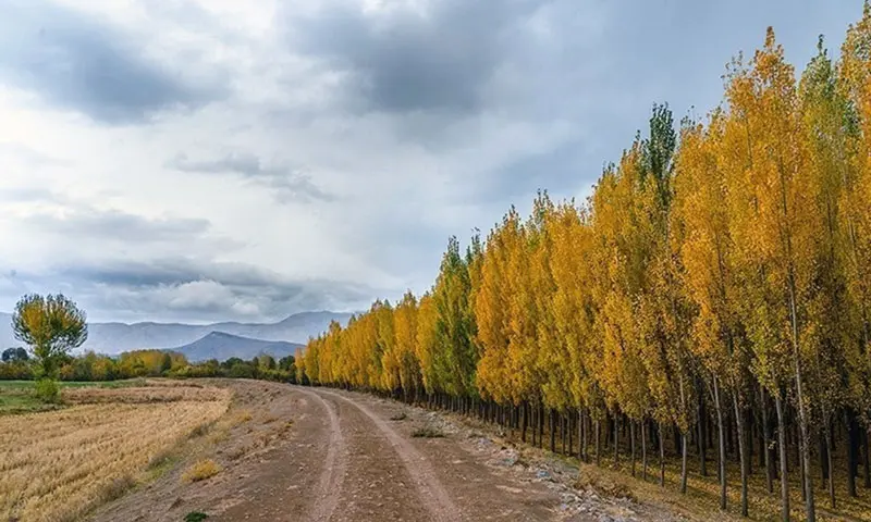 Autumn trees of Kasian village, Lorestan; Photo source: Aftab, photographer: unknown