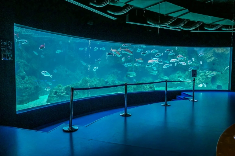 Crete Aquarium