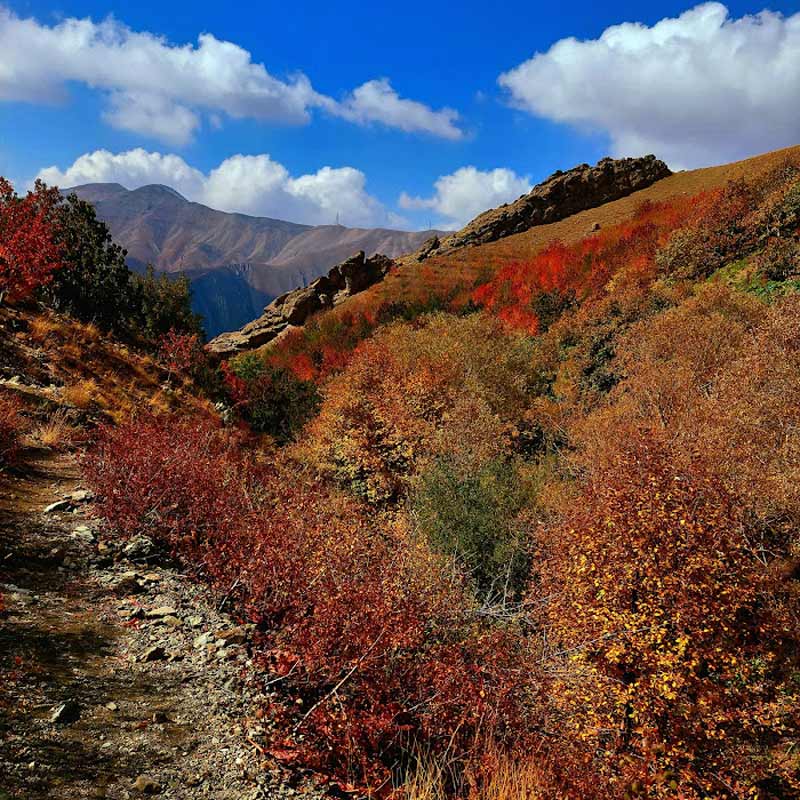 Talon village in autumn; Photo source: Google Map; Photographer: Ali Alavi