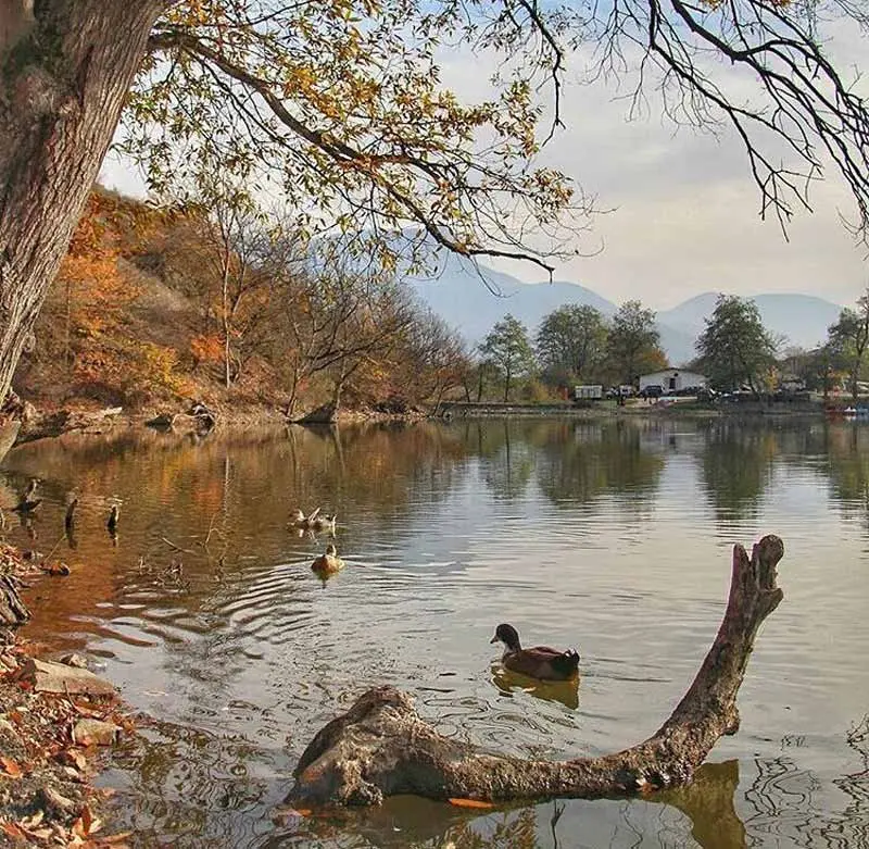 Ducklings in Shormast Lake in autumn; Photo source: Google Maps, photographer: Yones Kasra