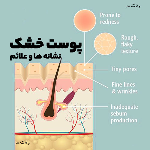 You can see the reason for facial skin dryness.