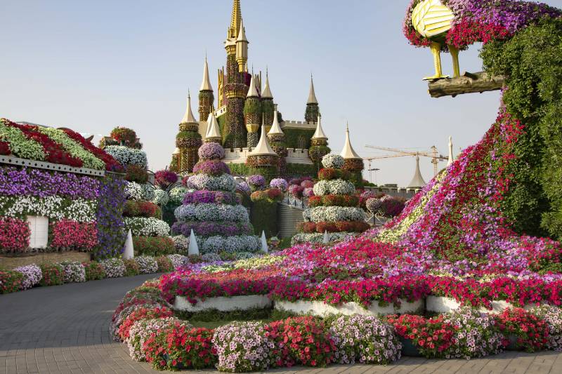 Dubai Flower Garden Source: website wierindubai.com; Photographer: Unknown