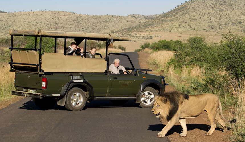 South African attractions, Sun City