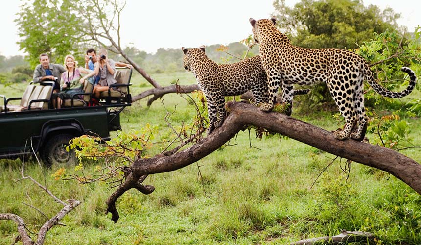 Travel to South Africa