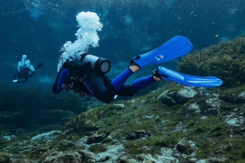diving fin; Photo source: scubadiving.com website. Photographer: Uncertain