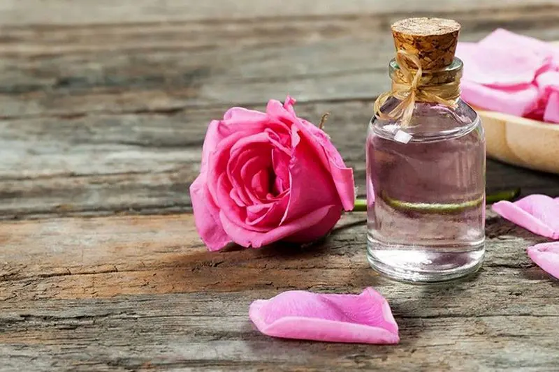 rose and rose; Photo source: mojnews.com; Photographer: Unknown