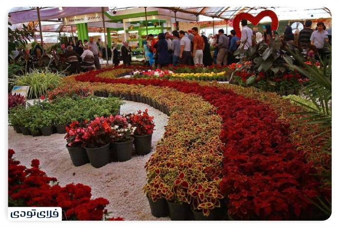 Places of ierest in the neighborhoods Travel to the Netherlands, Iran! Mahalat flower and ornameal plas village
