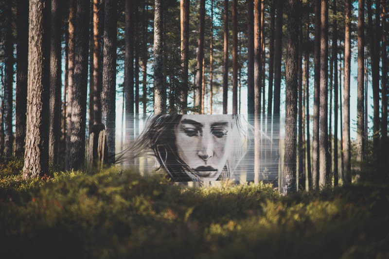 Natural paiing by David Popa in the lap of the forest