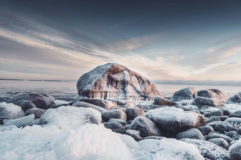David Poppa's natural paiing on coastal rocks