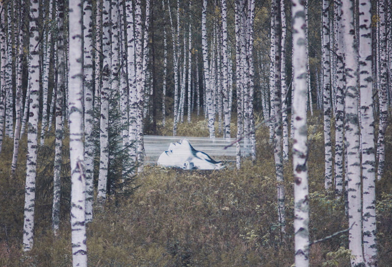 David Poppa's naturalistic paiing of a woman in the woods